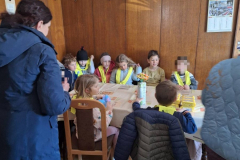 IMG-29c5bc84410eca3c7f03806e0c2fa9d0-V