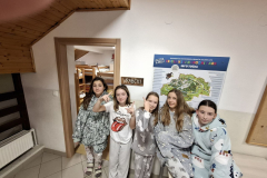 IMG-bdaf1b6594cca38f6d950097ff1bb332-V