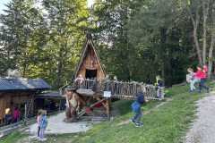 image_50750977