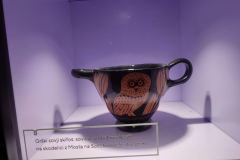IMG_20250114_102538